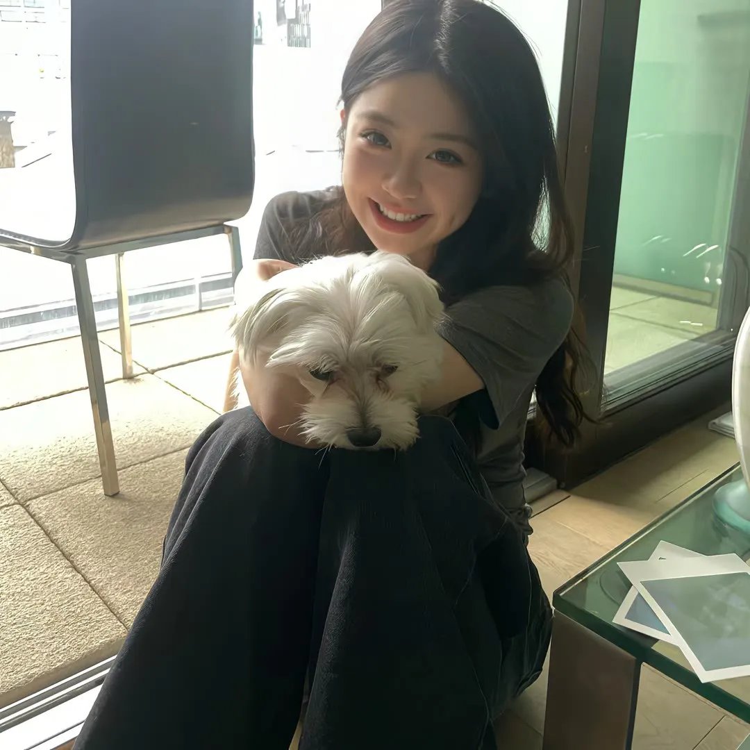 寻找妈妈